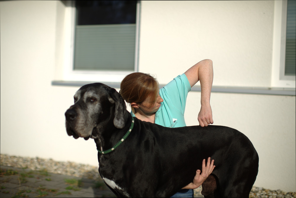 Chiropraktik Hund